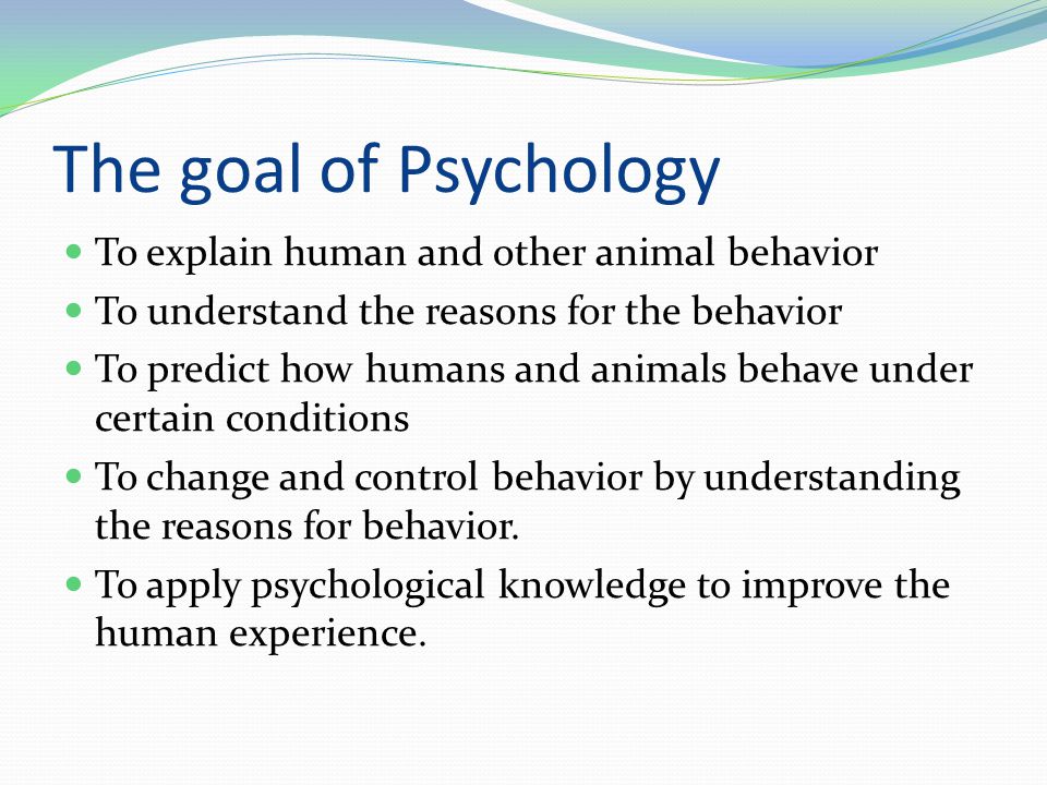 How can studies of animal behaviour and reactions be applied to human psychology